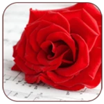 romantic love pics android application logo